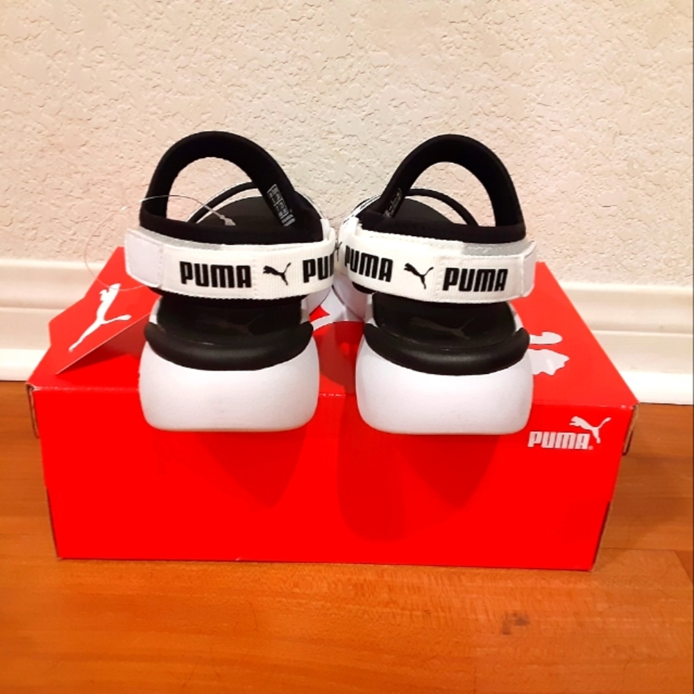 Puma - Picture 3 of 4
